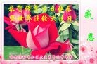 ���ֹ�,�������󷨵��ӹ������編�ִ�����ʦ�𻪵�(21��)
