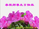 ���ֹ�,�������󷨵��ӹ������編�ִ�����ʦ�𻪵�(19��)
