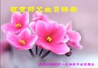���ֹ�,�������󷨵��ӹ������編�ִ�����ʦ�𻪵�(19��)
