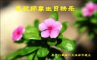 ���ֹ�,�������󷨵��ӹ������編�ִ�����ʦ�𻪵�(19��)
