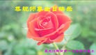 ���ֹ�,�������󷨵��ӹ������編�ִ�����ʦ�𻪵�(19��)
