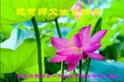 ���ֹ�,�������󷨵��ӹ������編�ִ�����ʦ�𻪵�(19��)
