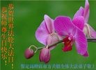 ���ֹ�,�����󷨵��ӹ������編�ִ�����ʦ�𻪵�(24��)

