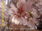���ֹ�,�����д󷨵��ӹ������編�ִ�����ʦ�𻪵�(23��)

