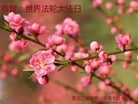 ���ֹ�,�������󷨵��ӹ������編�ִ�����ʦ�𻪵�(22��)
