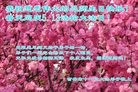 ���ֹ�,�����д󷨵��ӹ������編�ִ�����ʦ�𻪵�(23��)
