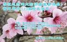 ���ֹ�,�����д󷨵��ӹ������編�ִ�����ʦ�𻪵�(23��)
