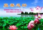 ���ֹ�,�żҿڴ󷨵��ӹ������編�ִ�����ʦ�𻪵�(21��)

