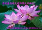 ���ֹ�,�������󷨵��ӹ������編�ִ�����ʦ�𻪵�(21��)
