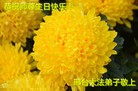 ���ֹ�,�ӱ��󷨵��ӹ������編�ִ�����ʦ�𻪵�(22��)
