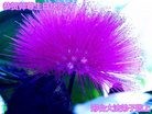 ���ֹ�,�ӱ��󷨵��ӹ������編�ִ�����ʦ�𻪵�(22��)
