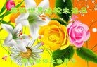 ���ֹ�,�ӱ��󷨵��ӹ������編�ִ�����ʦ�𻪵�(22��)
