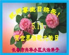 ���ֹ�,�����󷨵��ӹ������編�ִ�����ʦ�𻪵�(22��)
