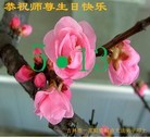 ���ֹ�,�����д󷨵��ӹ������編�ִ�����ʦ�𻪵�(24��)

