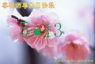 ���ֹ�,�����д󷨵��ӹ������編�ִ�����ʦ�𻪵�(24��)
