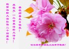 ���ֹ�,�������󷨵��ӹ������編�ִ�����ʦ�𻪵�(21��)
