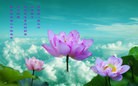 ���ֹ�,ʯ��ׯ�󷨵��ӹ������編�ִ�����ʦ�𻪵�(29��)
