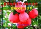 ���ֹ�,�ӱ��󷨵��ӹ������編�ִ�����ʦ�𻪵�(25��)
