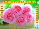 ���ֹ�,�������󷨵��ӹ������編�ִ�����ʦ�𻪵�(21��)
