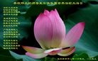 ���ֹ�,��ľ˹�󷨵��ӹ������編�ִ�����ʦ�𻪵�(19��)
