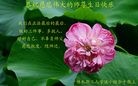 ���ֹ�,��ľ˹�󷨵��ӹ������編�ִ�����ʦ�𻪵�(19��)
