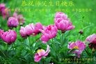 ���ֹ�,��ľ˹�󷨵��ӹ������編�ִ�����ʦ�𻪵�(19��)
