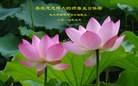 ���ֹ�,��ľ˹�󷨵��ӹ������編�ִ�����ʦ�𻪵�(19��)
