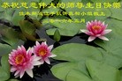 ���ֹ�,��ľ˹�󷨵��ӹ������編�ִ�����ʦ�𻪵�(19��)
