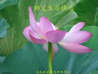 ���ֹ�,��ľ˹�󷨵��ӹ������編�ִ�����ʦ�𻪵�(18��)
