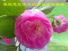 ���ֹ�,��ľ˹�󷨵��ӹ������編�ִ�����ʦ�𻪵�(18��)
