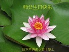 ���ֹ�,��ľ˹�󷨵��ӹ������編�ִ�����ʦ�𻪵�(18��)
