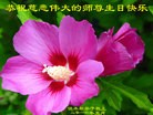 ���ֹ�,��ľ˹�󷨵��ӹ������編�ִ�����ʦ�𻪵�(18��)
