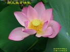 ���ֹ�,��ľ˹�󷨵��ӹ������編�ִ�����ʦ�𻪵�(18��)
