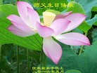 ���ֹ�,��ľ˹�󷨵��ӹ������編�ִ�����ʦ�𻪵�(18��)
