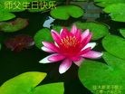 ���ֹ�,��ľ˹�󷨵��ӹ������編�ִ�����ʦ�𻪵�(18��)
