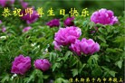 ���ֹ�,��ľ˹�󷨵��ӹ������編�ִ�����ʦ�𻪵�(18��)
