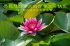 ���ֹ�,��ľ˹�󷨵��ӹ������編�ִ�����ʦ�𻪵�(18��)
