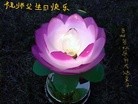 ���ֹ�,����ʡ�󷨵��ӹ������編�ִ�����ʦ�𻪵�(26��)
