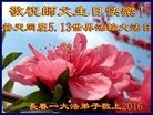 ���ֹ�,�����󷨵��ӹ������編�ִ�����ʦ�𻪵�(26��)
