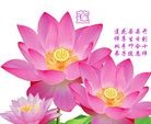 ���ֹ�,��������󷨵��ӹ������編�ִ�����ʦ�𻪵�(23��)
