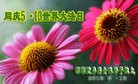 ���ֹ�,�ӱ��󷨵��ӹ������編�ִ�����ʦ�𻪵�(24��)
