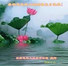 ���ֹ�,���ϴ󷨵��ӹ������編�ִ�����ʦ�𻪵�(20��)
