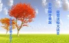 ���ֹ�,����ʡ�󷨵��ӹ������編�ִ�����ʦ�𻪵�(23��)
