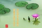 ���ֹ�,����ʡ�󷨵��ӹ������編�ִ�����ʦ�𻪵�(23��)
