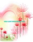 ���ֹ�,�����󷨵��ӹ������編�ִ�����ʦ�𻪵�(22��)
