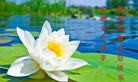 ���ֹ�,�����󷨵��ӹ������編�ִ�����ʦ�𻪵�(22��)
