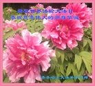 ���ֹ�,��������󷨵��ӹ������編�ִ�����ʦ�𻪵�(23��)
