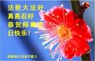 ���ֹ�,�żҿڴ󷨵��ӹ������編�ִ�����ʦ�𻪵�(21��)
