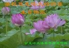 ���ֹ�,����ʡ�󷨵��ӹ������編�ִ�����ʦ�𻪵�(23��)
