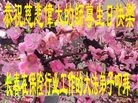 ���ֹ�,�����󷨵��ӹ������編�ִ�����ʦ�𻪵�(24��)
